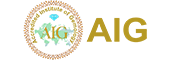 AIG